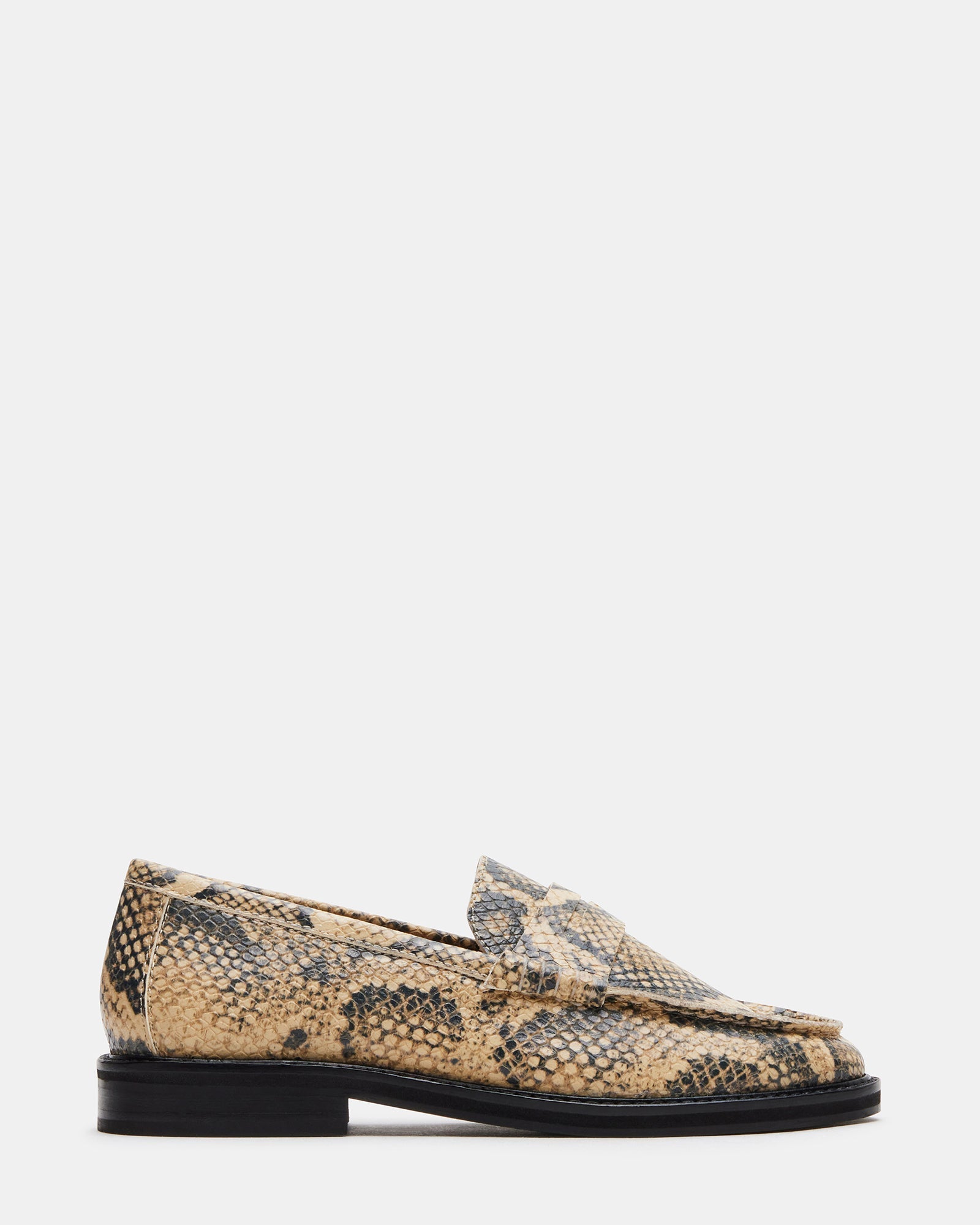 MADISON SNAKE - SM REBOOTED